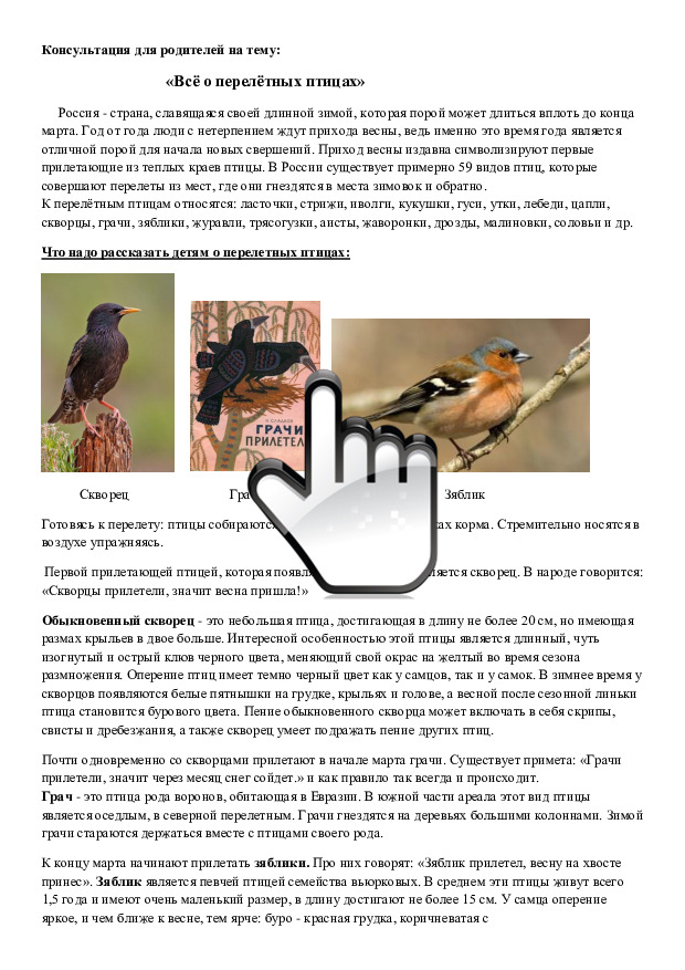 Макарова НИ колосок Консультация о птицах 